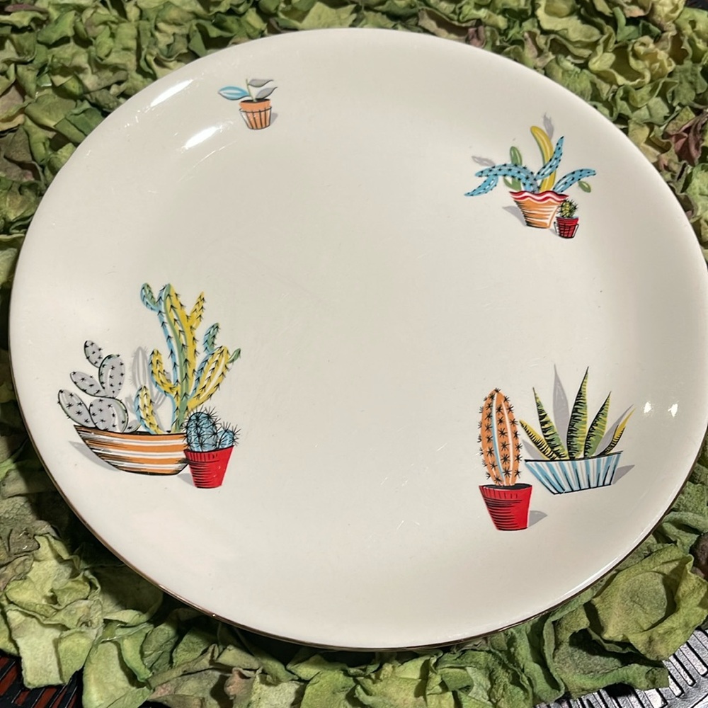 Alfred Meakin, England: Vintage 9” Side Plate in the Cactus Pattern